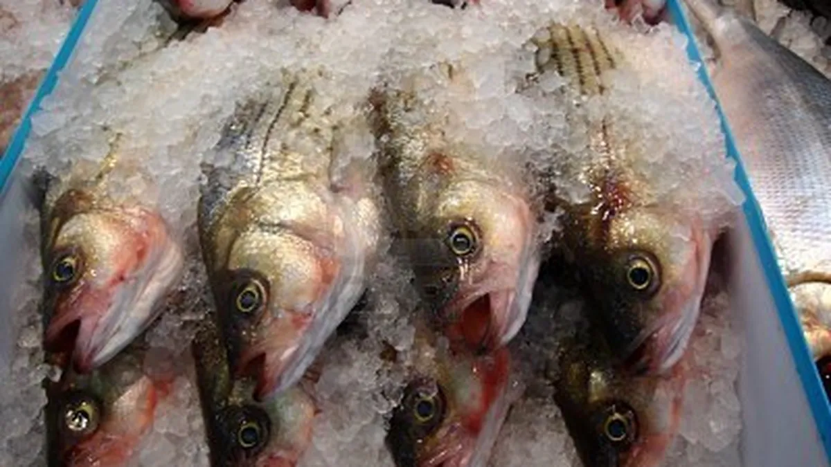 Unde se construieste prima piata de peste din Bucuresti