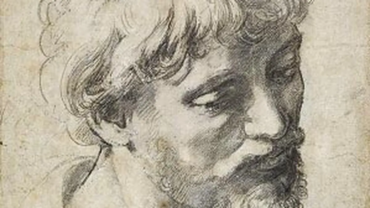 Desen de Raphael, evaluat la 24 mil. dolari, scos la licitatie