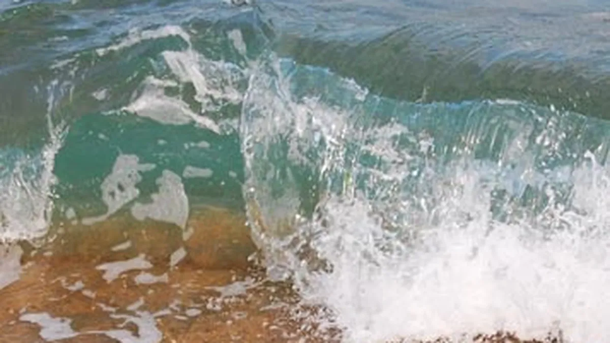 Tichetele de vacanta ar putea fi reintroduse de anul viitor