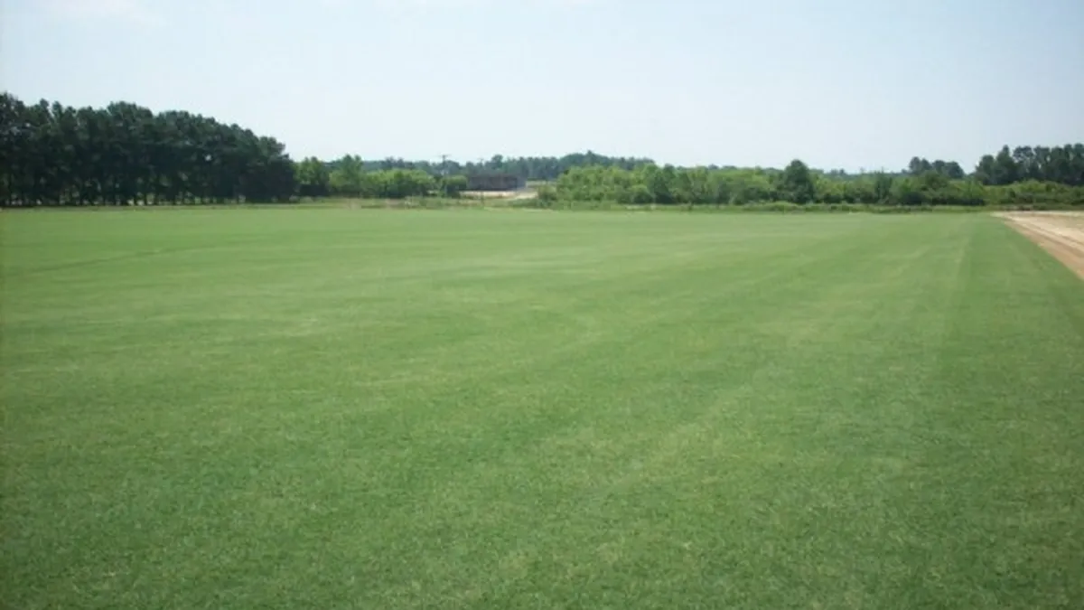 Strainii vor avea limitare la cumpararile de terenuri din 2014