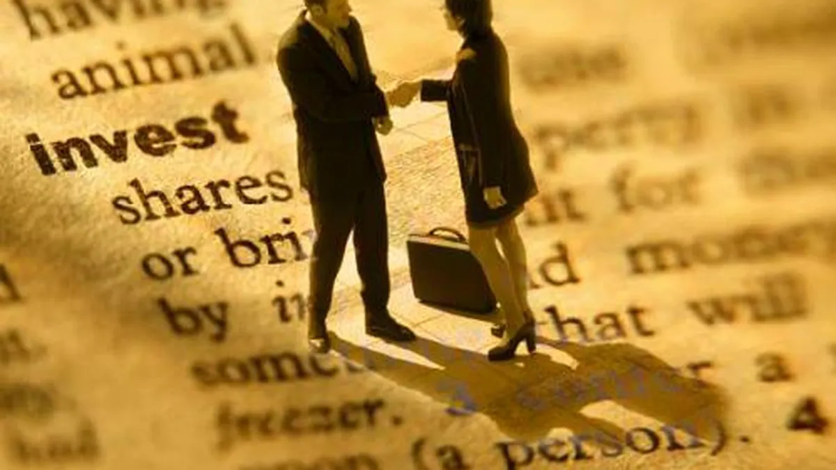 Companii au renuntat sa investeasca in Romania din cauza coruptiei si a imprevizibilitatii