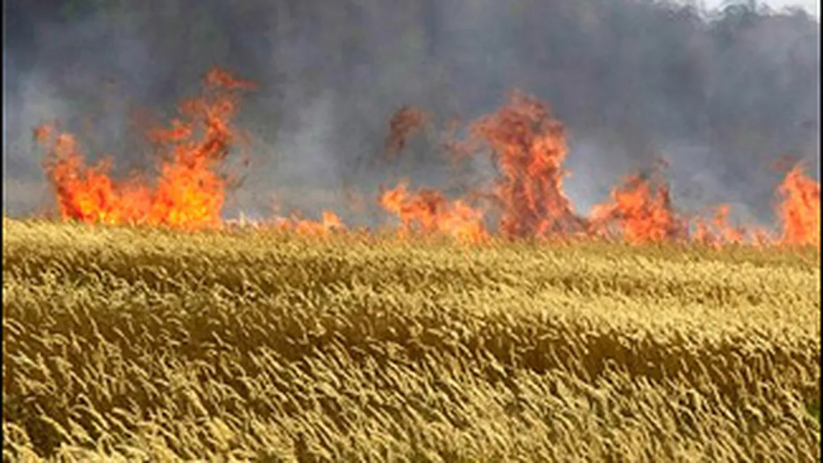 Economia Rusiei, franata de seceta si de scaderea cererii de resurse naturale