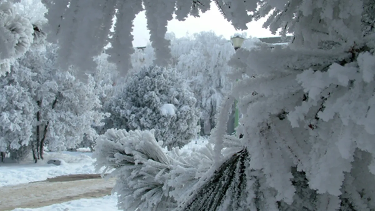 Prognoza meteo pe 3 luni. Cum va fi vremea in decembrie si la inceput de an