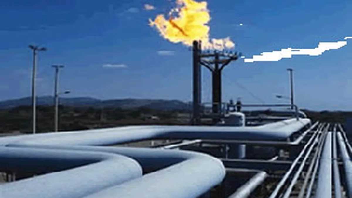 CE va afla ce parere are Romania despre interdictia exportului de gaze