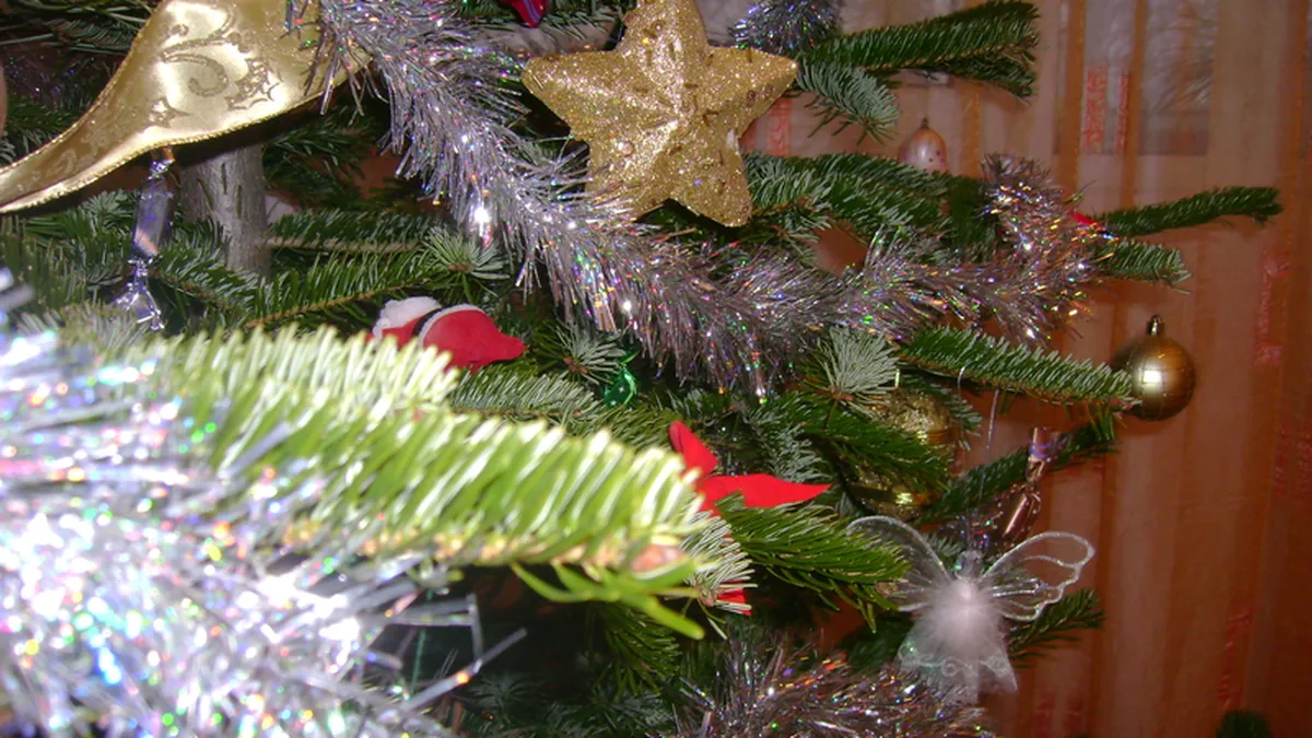 24 si 31 decembrie 2012, declarate de Guvern zile libere