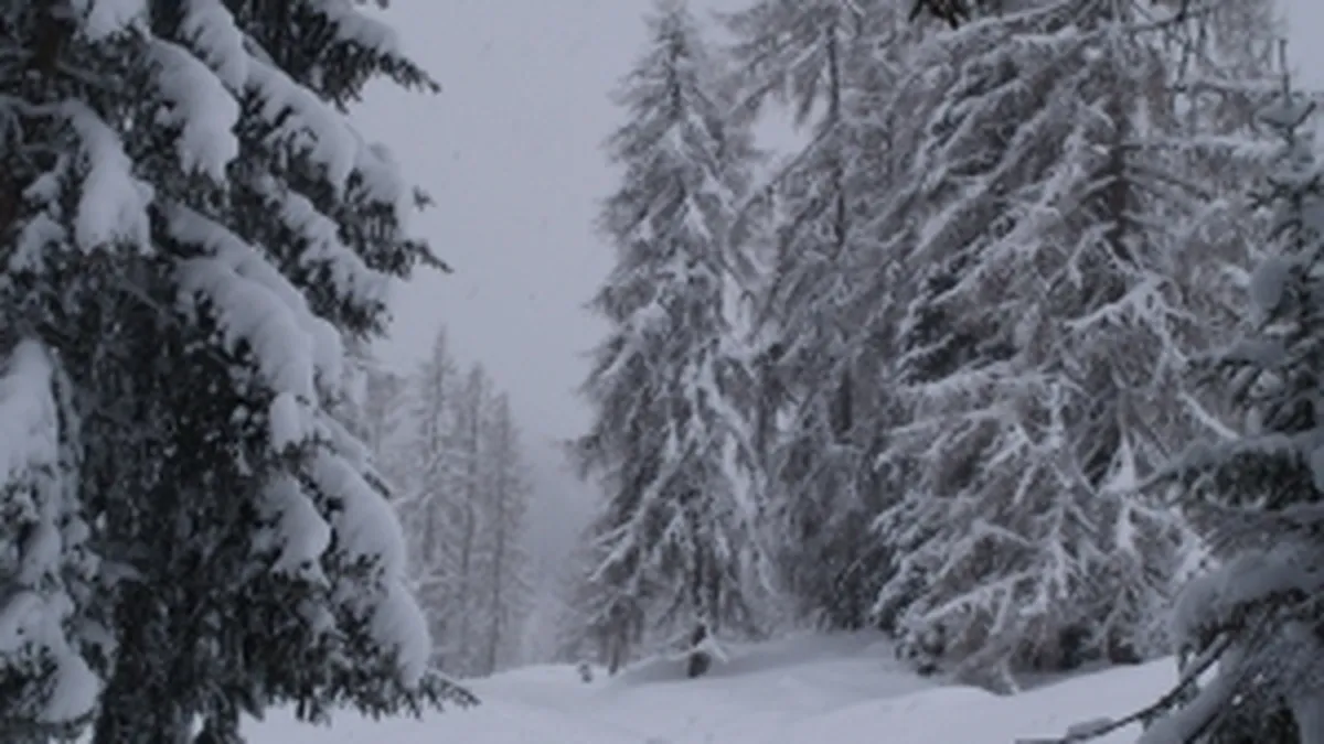 Cod galben de ninsori si ploi in toata tara, in ziua alegerilor