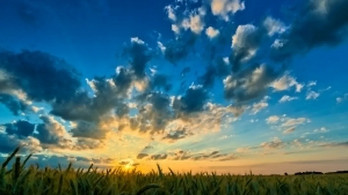 Venitul agricol real din Romania, cea mai abrupta scadere din UE in acest an