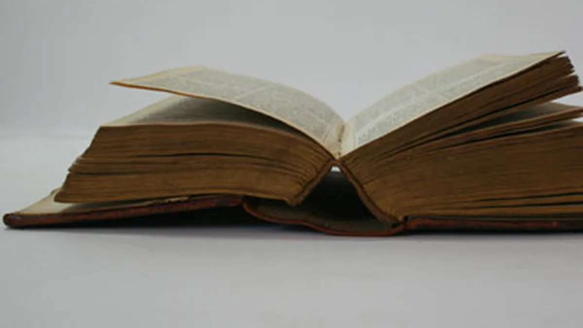 Cel mai rapid roman din lume a fost scris la Bucuresti