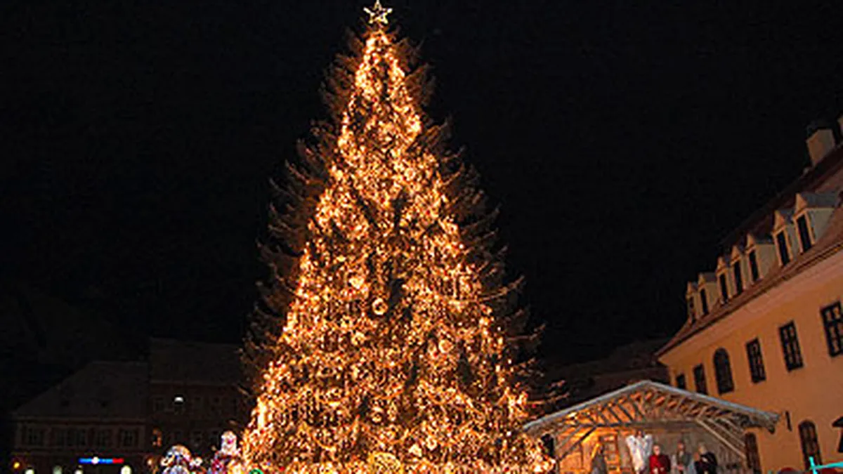 Top 5 pericole pentru afaceri in sezonul rece (P)