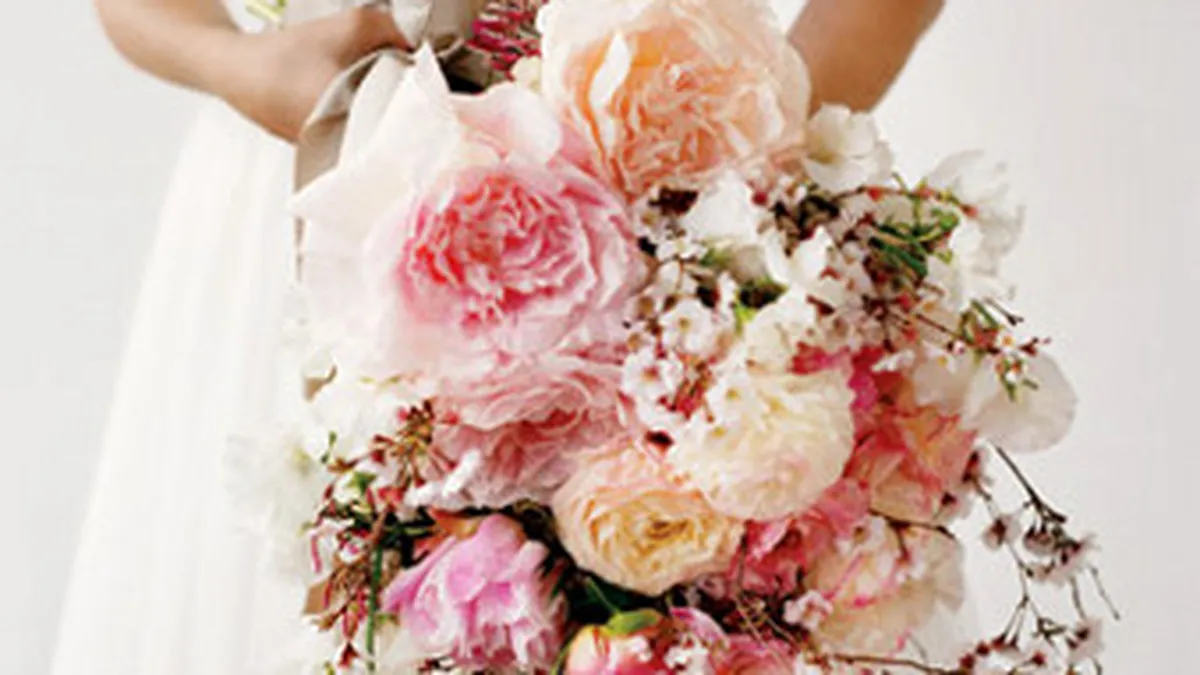 Romania-FMI, de la nunta din interes la un posibil divort: Partenerii se cearta pe bani