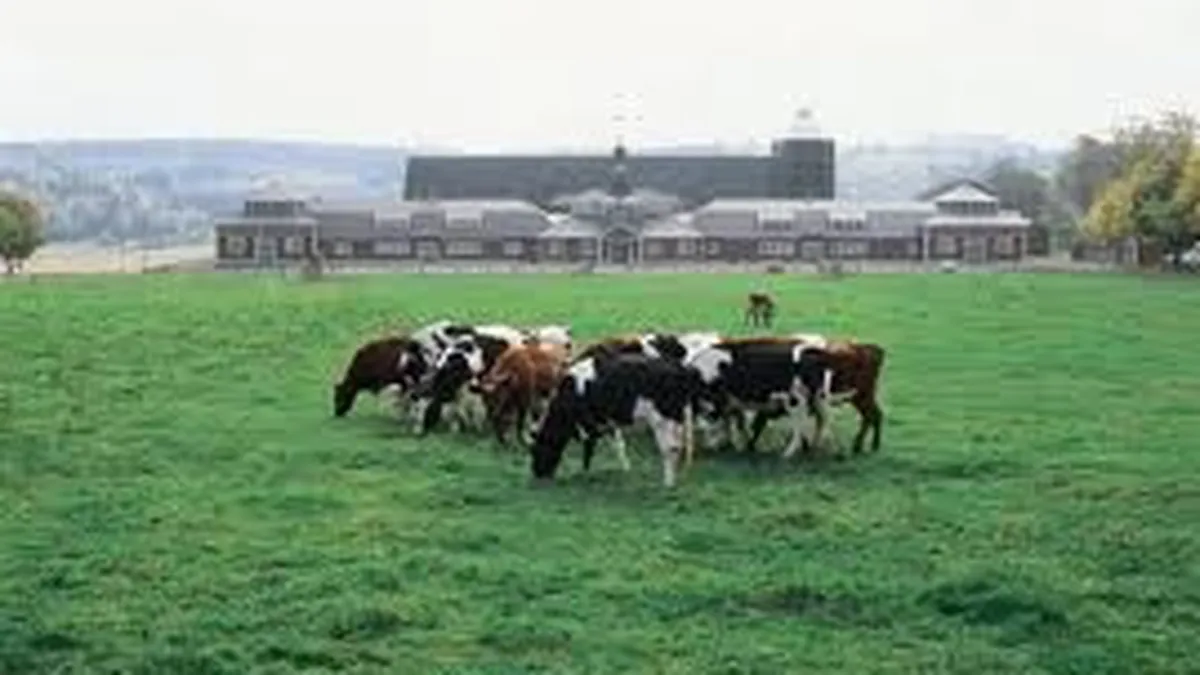 Cum vrea statul sa sprijine fermele de familie