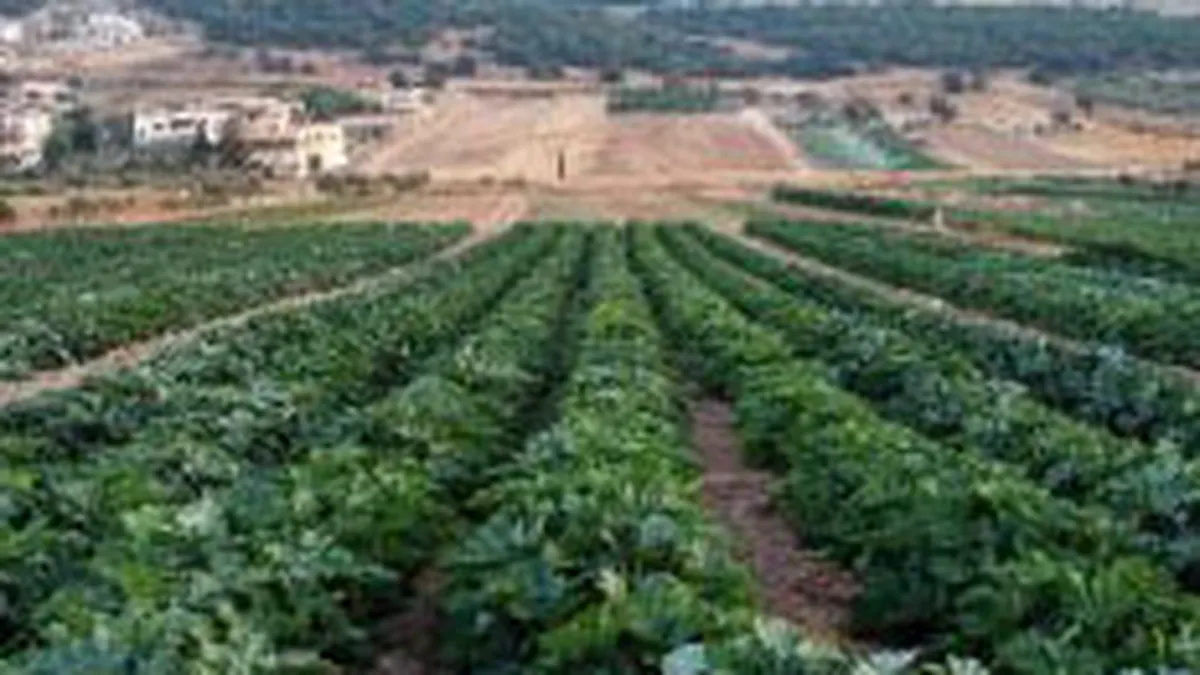 Banca Italo Romena acorda imprumuturi de 20 mil. euro sectorului agricol