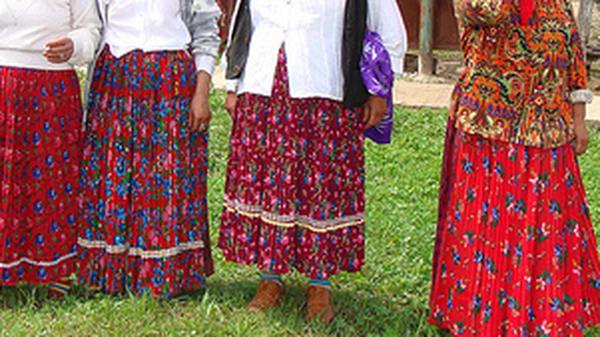 Cat va costa deschiderea Muzeului Culturii Romilor