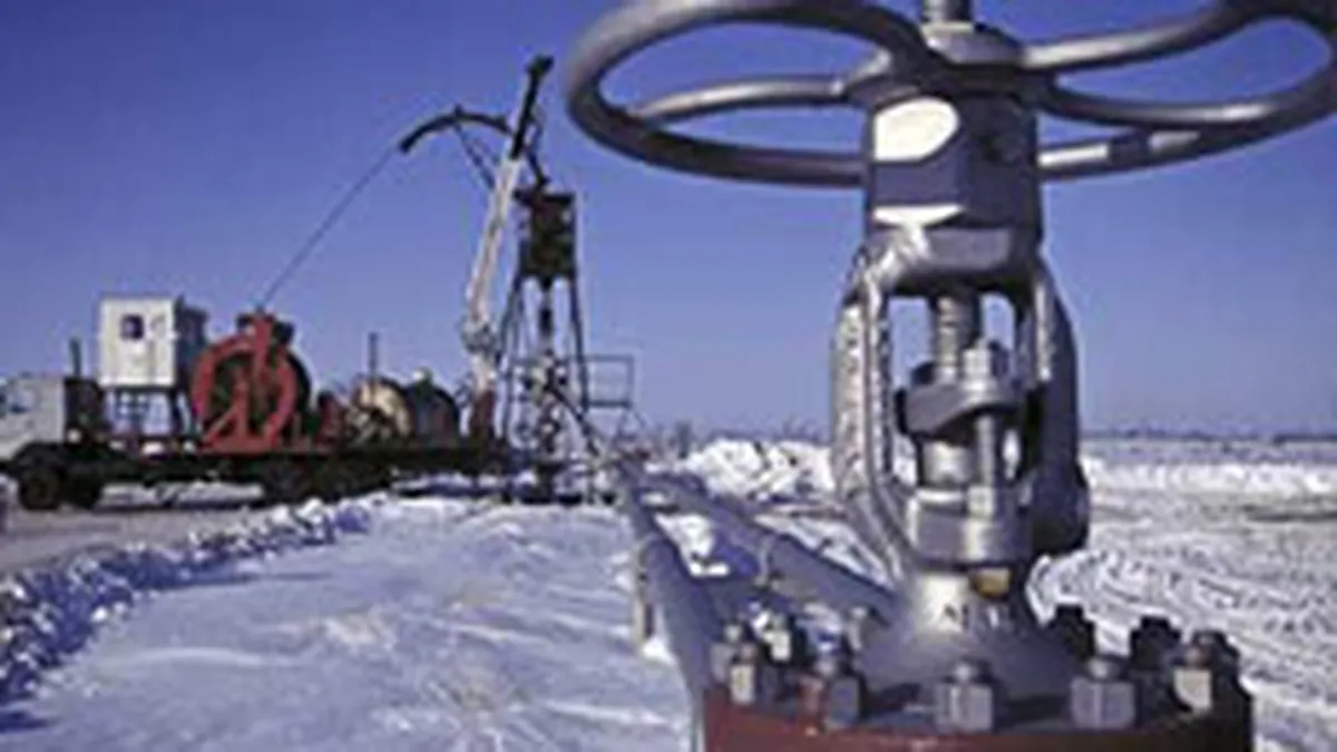 Energia, sub dictatul capitalului strain. Renationalizarea, solutie pentru ieftinire?