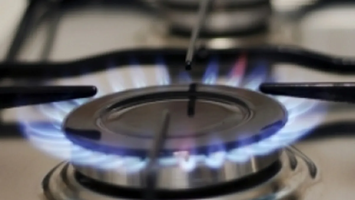 Profitul net al Transgaz a scazut anul trecut cu 27%, la 281 mil. lei