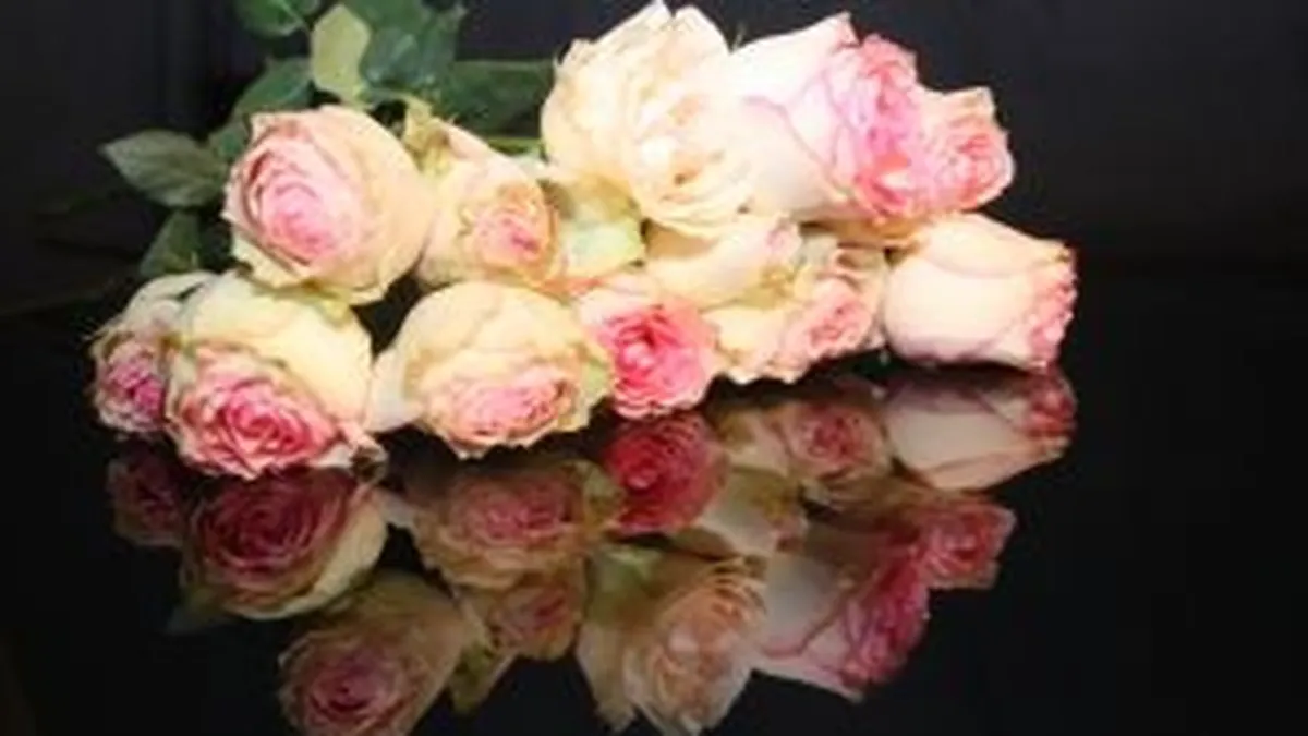 8 Martie: Cele mai importante evenimente de Ziua Femeii in Capitala