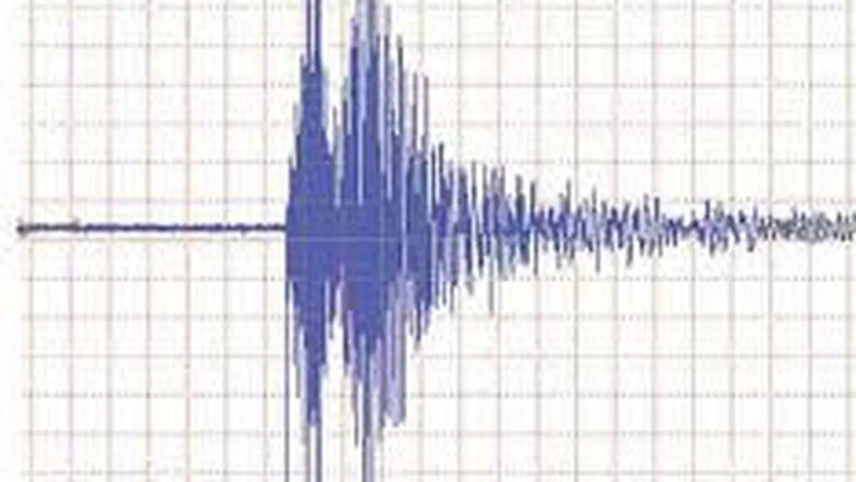 Un cutremur cu magnitudinea de 6,2 grade a zguduit centrul Mexicului