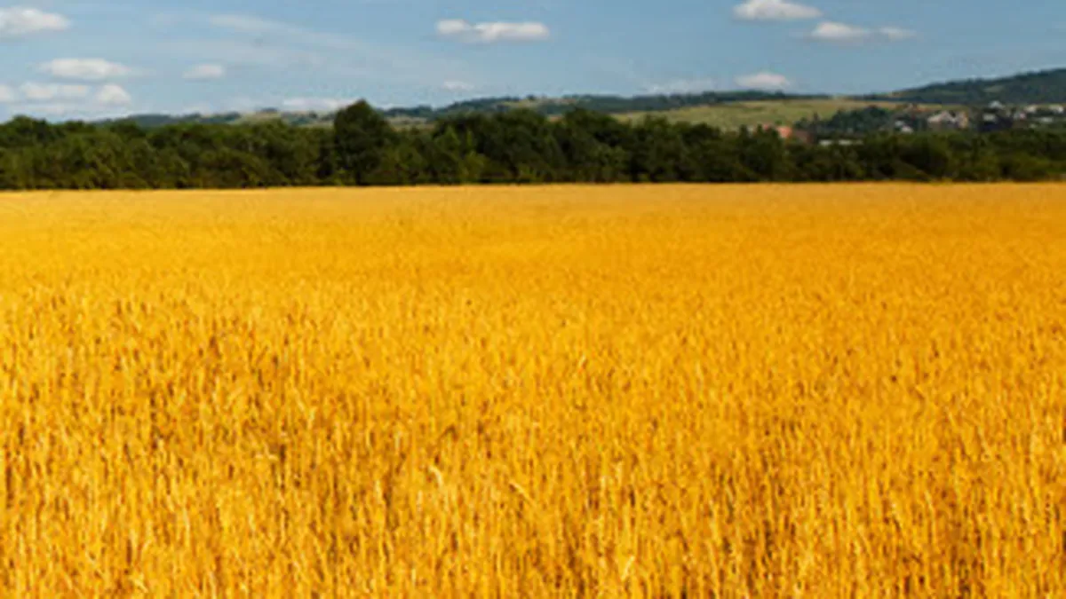 EximBank imprumuta grupul Agricover cu 70 milioane de lei