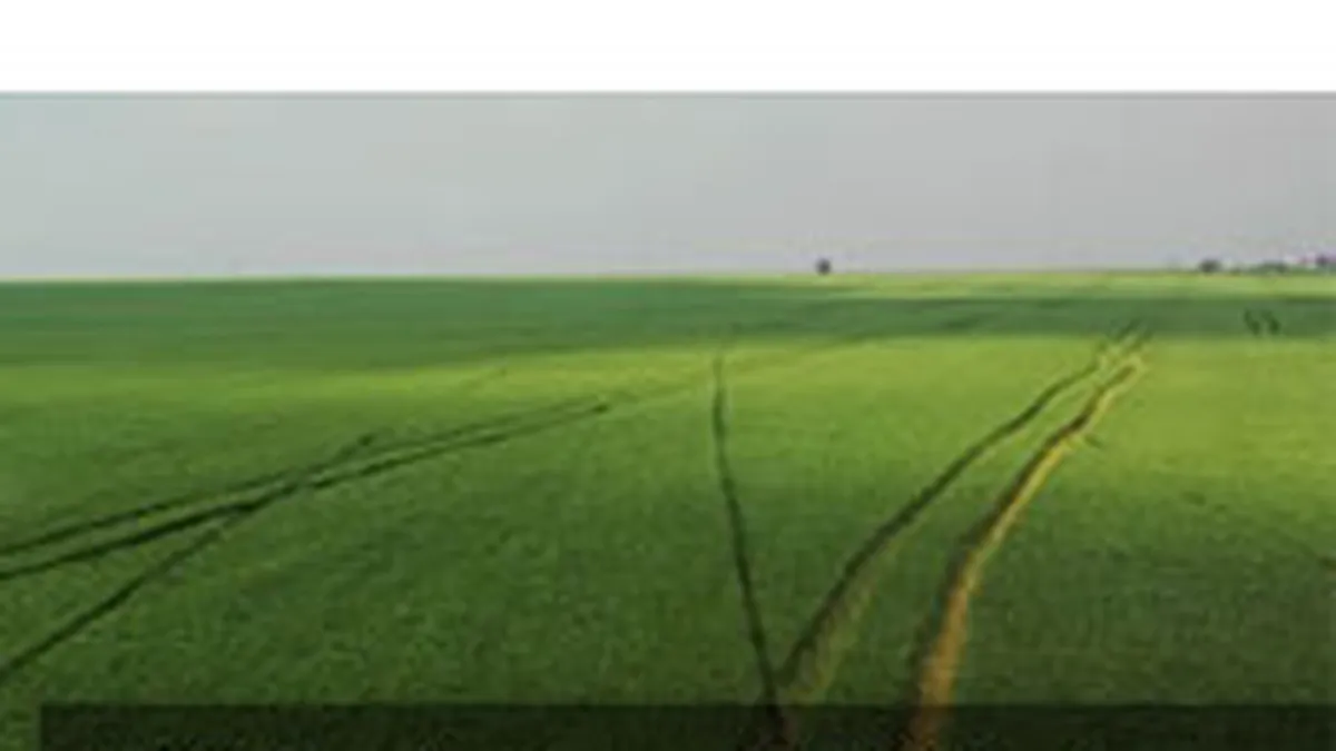 Nikolaus Mann, trimis in judecata pentru devalizarea Aton cu 33 mil. euro