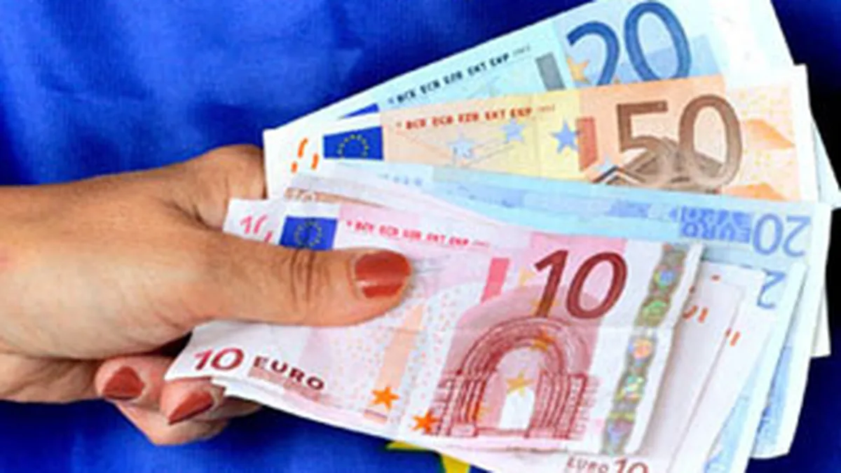 Germania vrea reforme mai rapide in zona euro