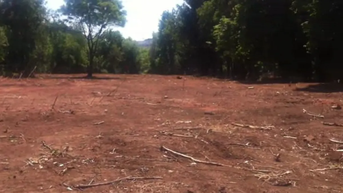 O treime din Parcul Operei, defrisata pentru amenajarea unui club de tenis (Video)