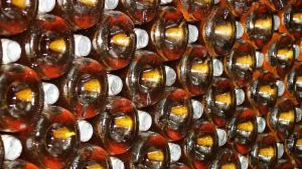 Palatul Elysee a obtinut la licitatie 300.000 euro pe vinuri din pivnita sa