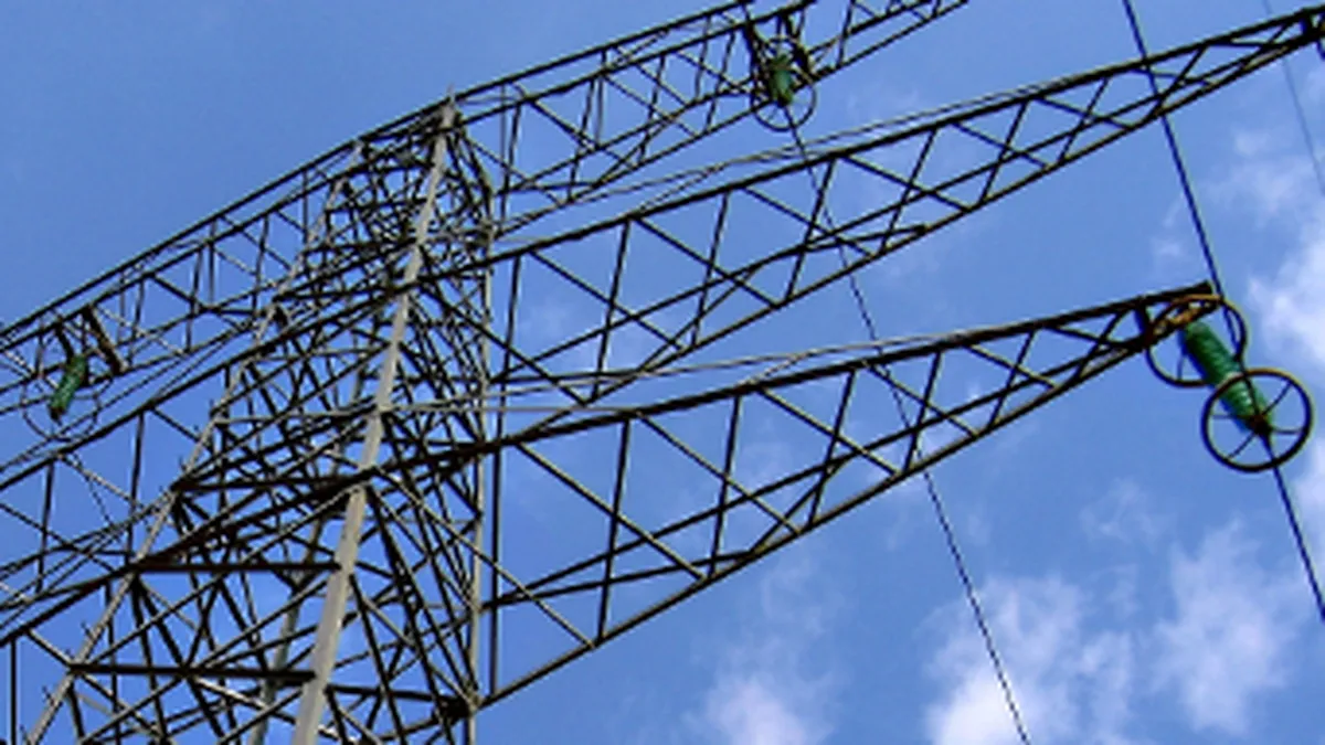 Transelectrica va plati actionarilor dividendele pe anul 2012