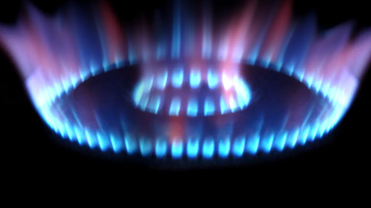 Rezervele de gaze naturale ale Romaniei s-au mentinut la 100 mld. mc