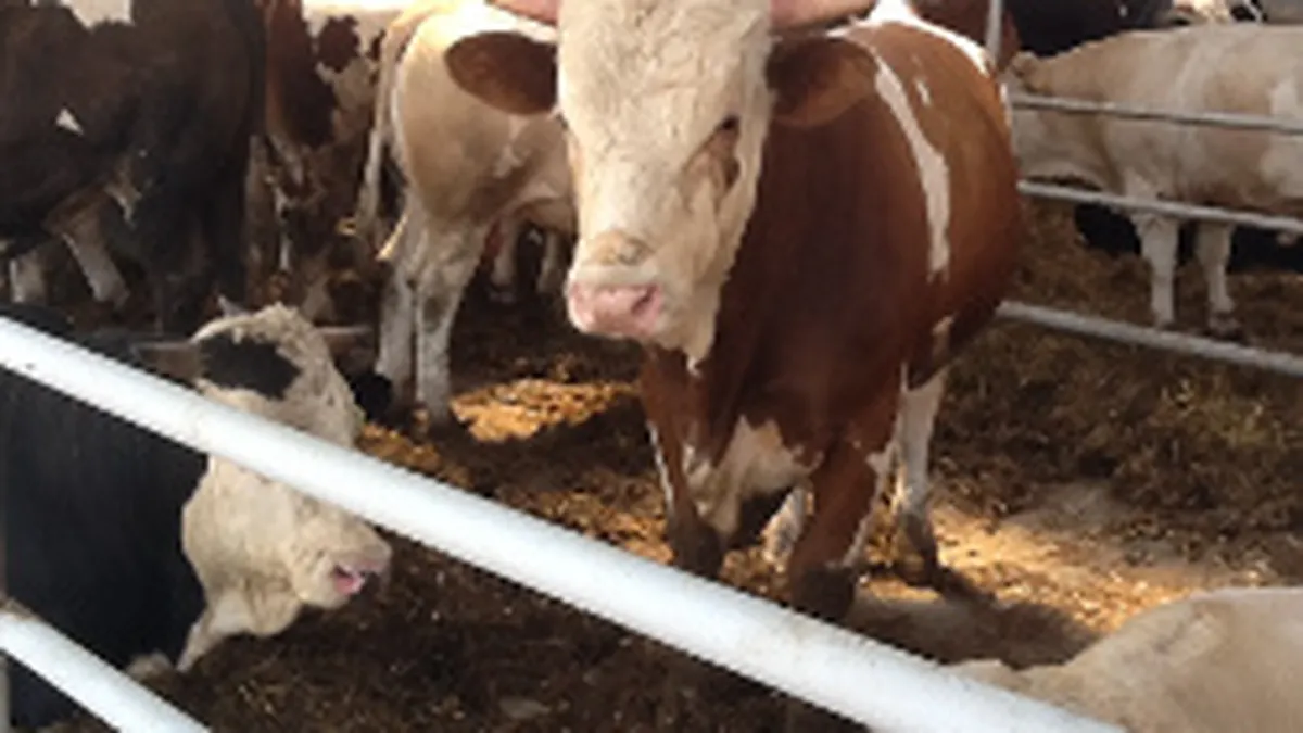 Crescatorii solicita reducerea TVA la vanzarea de animale si produse de origine animala