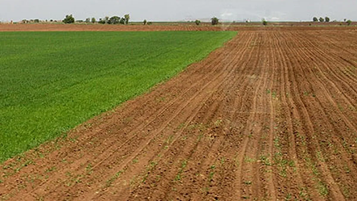 Peste 80% din parcelele agricole din Romania, la limita incarcaturii cu nitrati