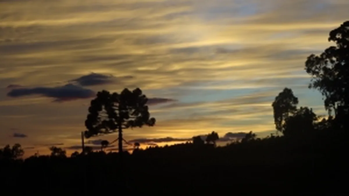 Problemele economice ale Braziliei: Exista vreo posibilitate de revenire?