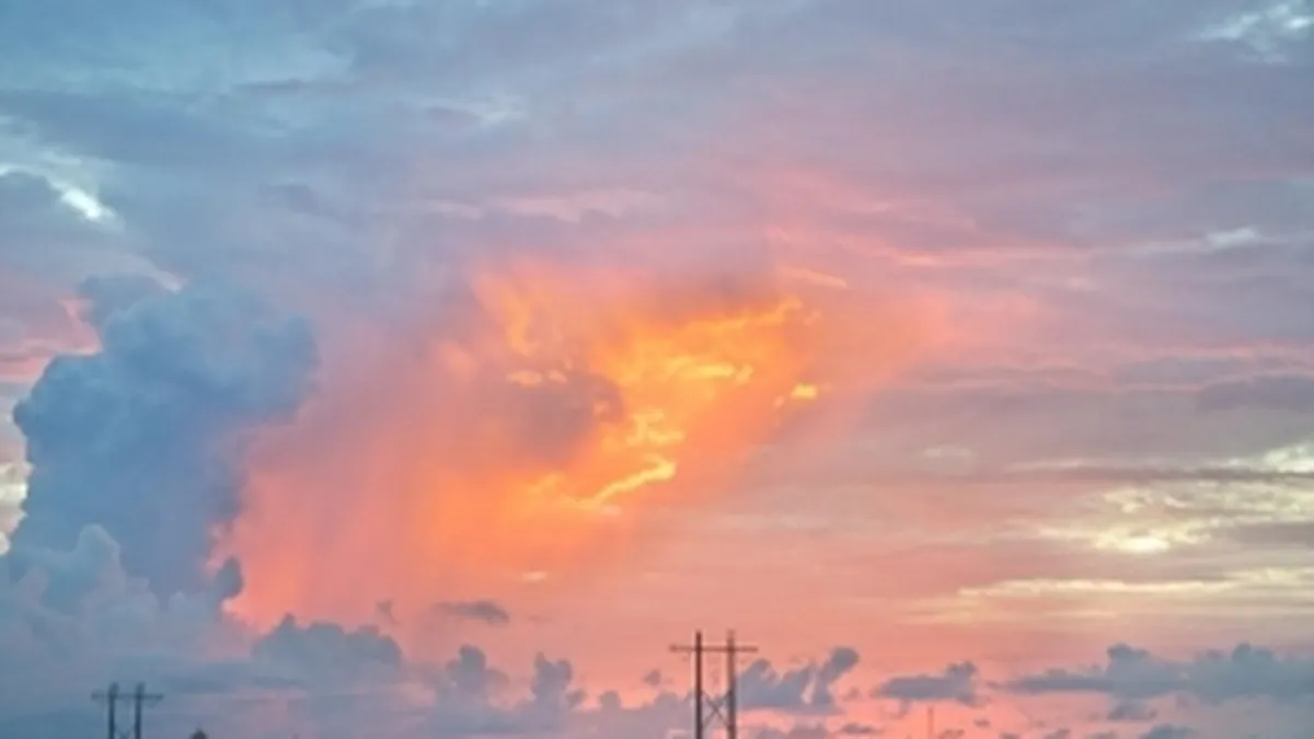 Ce pierderi economice au provocat dezastrele naturale in acest an