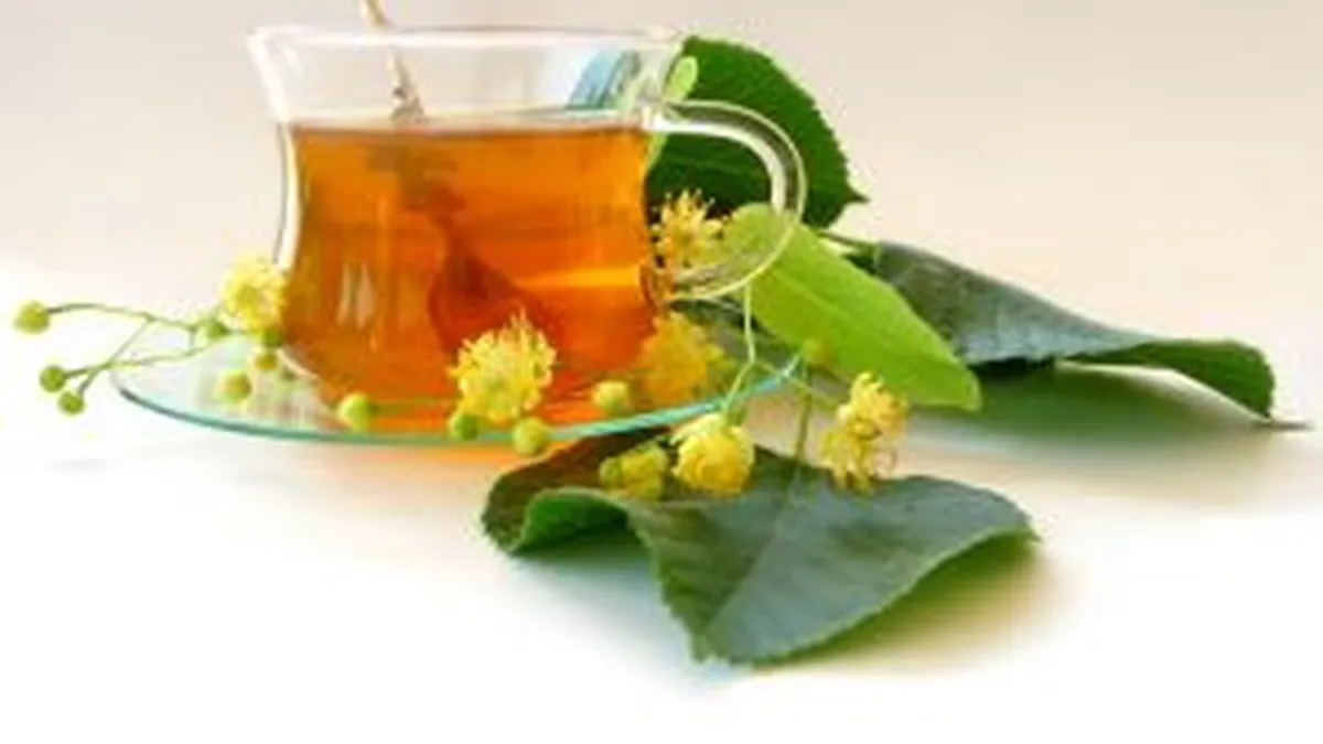 Dupa ce i-a vandut brandul, Guvernul scoate Plafar din categoria companiilor de interes national