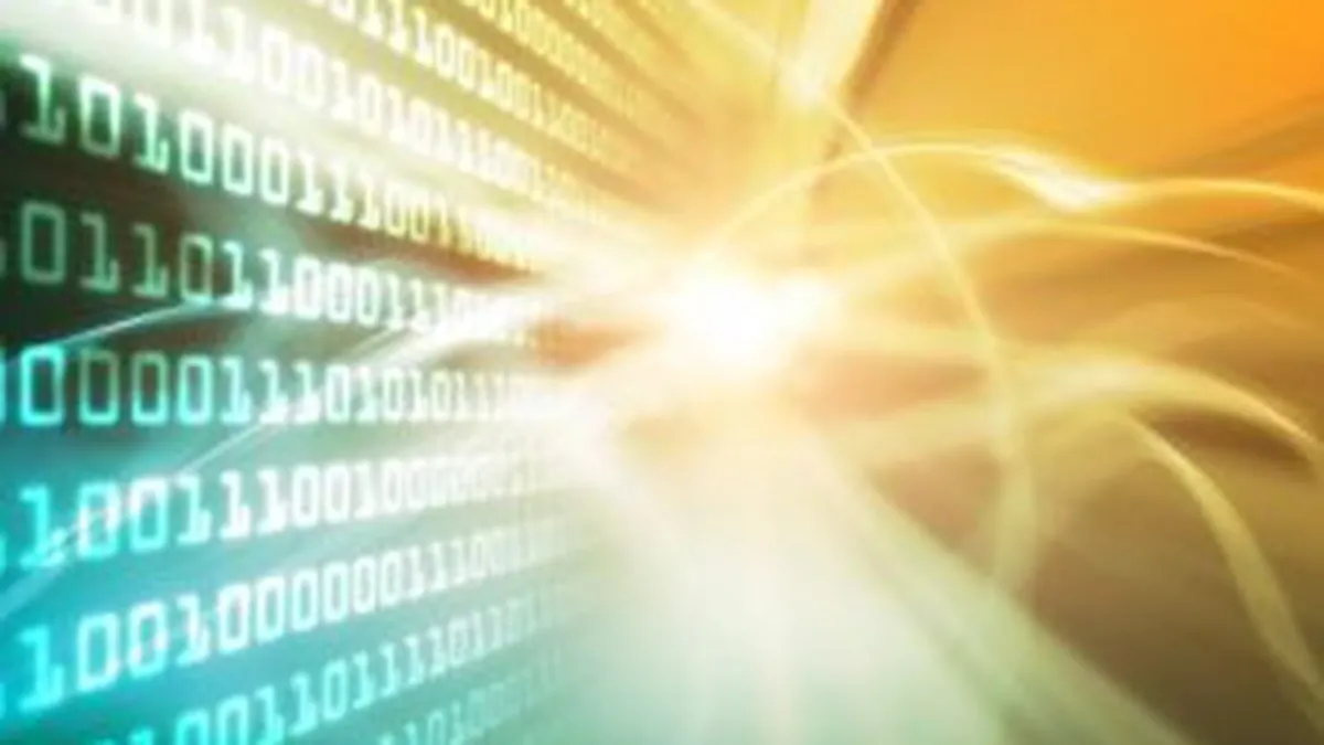 Companiile abordeaza imatur riscurile cibernetice