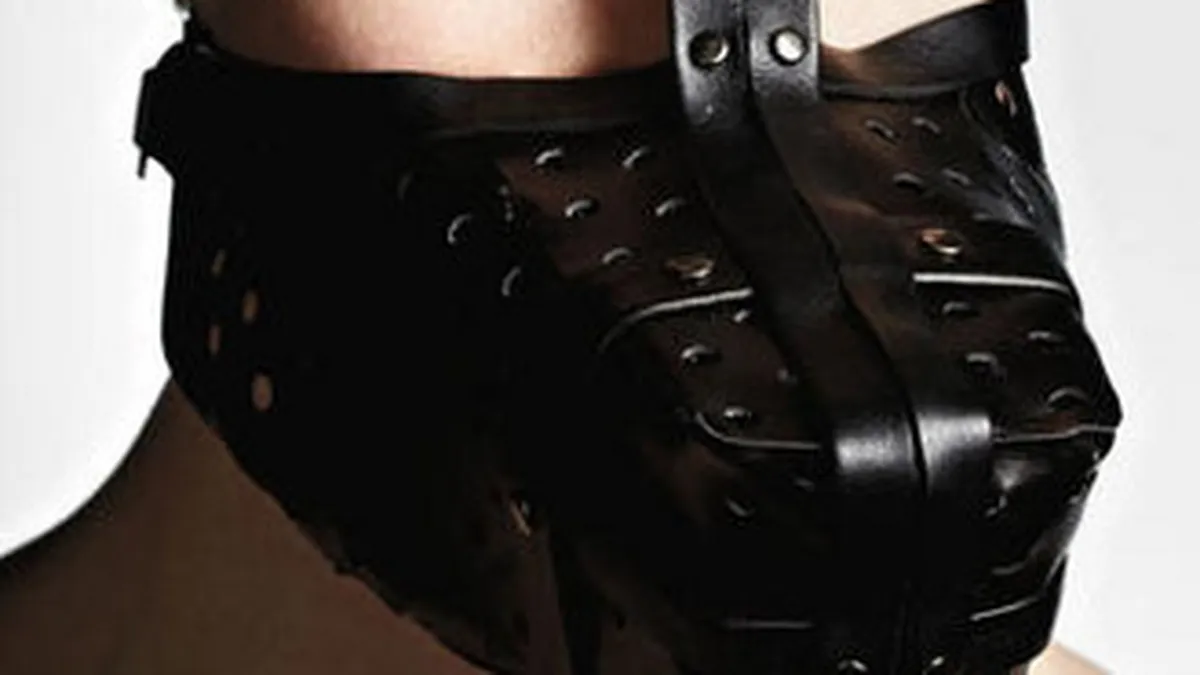 Botnita pentru Fisc? Ce efect pervers ar putea avea inspectia fiscala o data la 3 ani