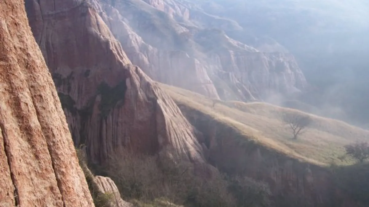 Cele mai citite articole ale saptamanii pe DailyBusiness.ro