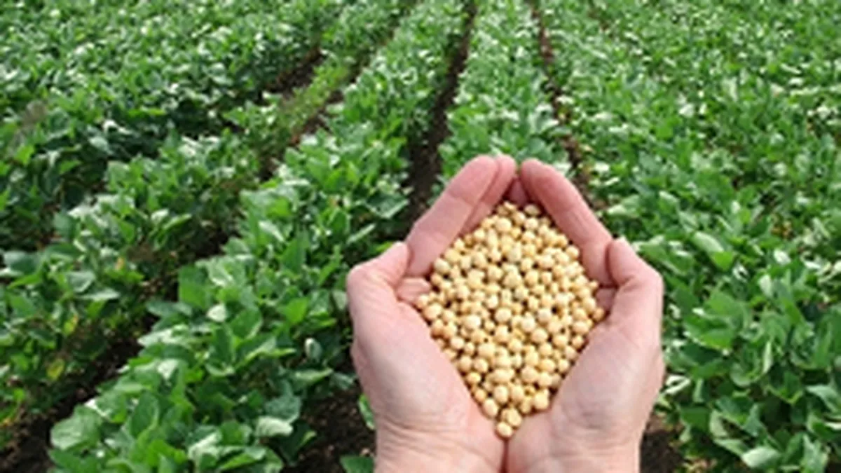 Parlamentul da unda organismelor modificate genetic