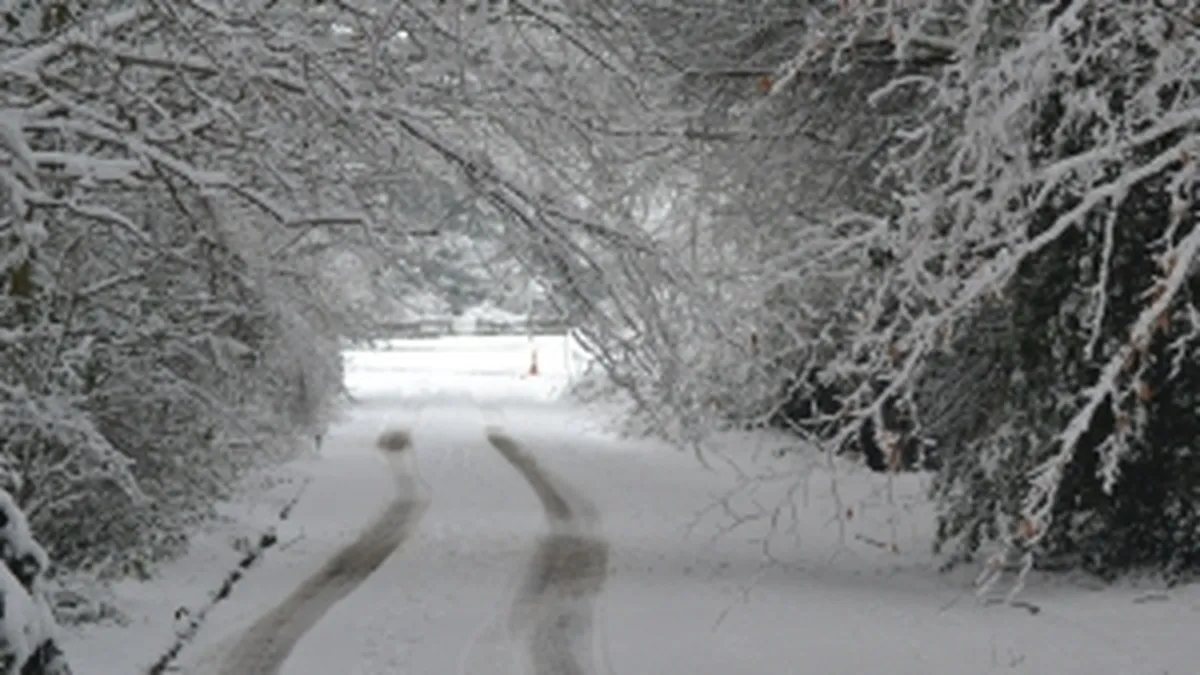 5 drumuri nationale, inclusiv DN 1, inchise pentru deszapezire