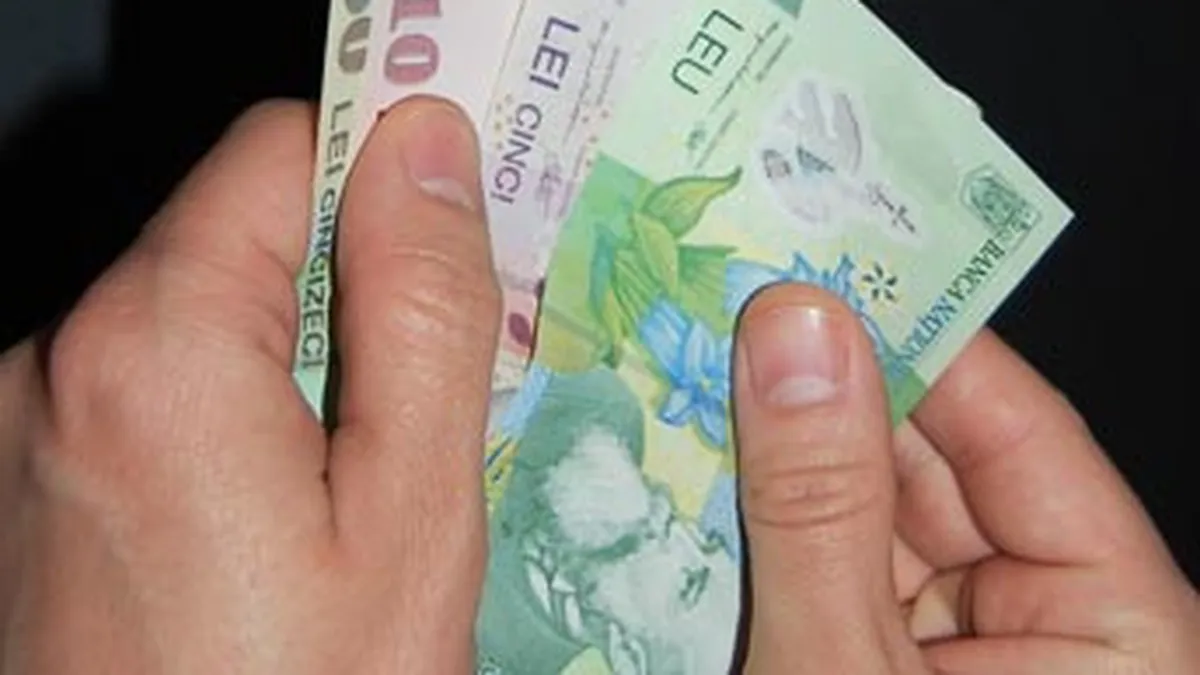 Guvernul reduce limita veniturilor pentru microintreprinderi