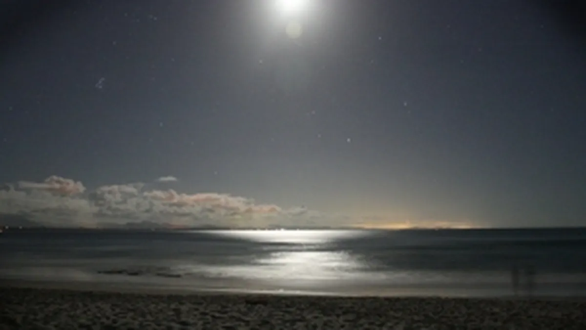 Mazare promite sa ilumineze plajele din Mamaia ca in Brazilia