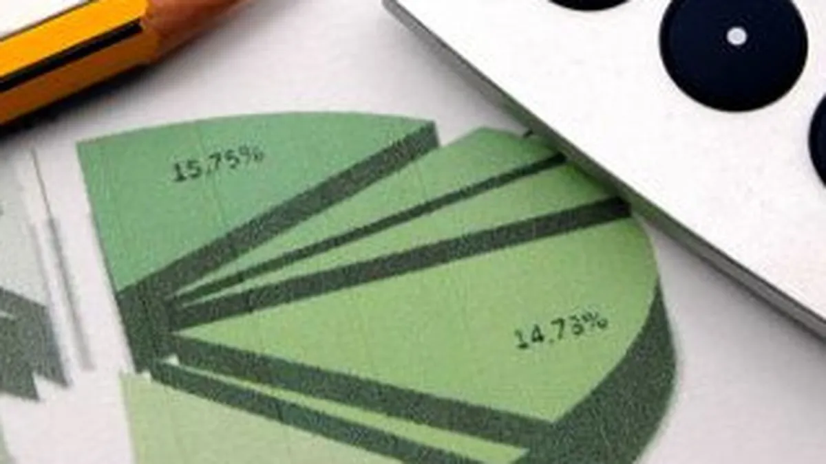 Consiliul Investitorilor Romani: Economia ar putea fi sufocata sub povara taxelor