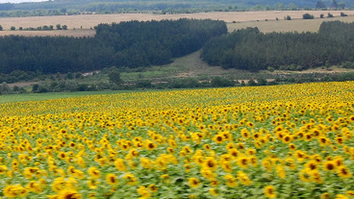 Rockefeller vs Swamiji. Suntem prea multi pe planeta sau impartim prost resursele?