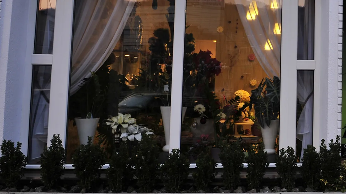 Doua brasovence deschid cu 45.000 euro prima franciza offline FlorideLux