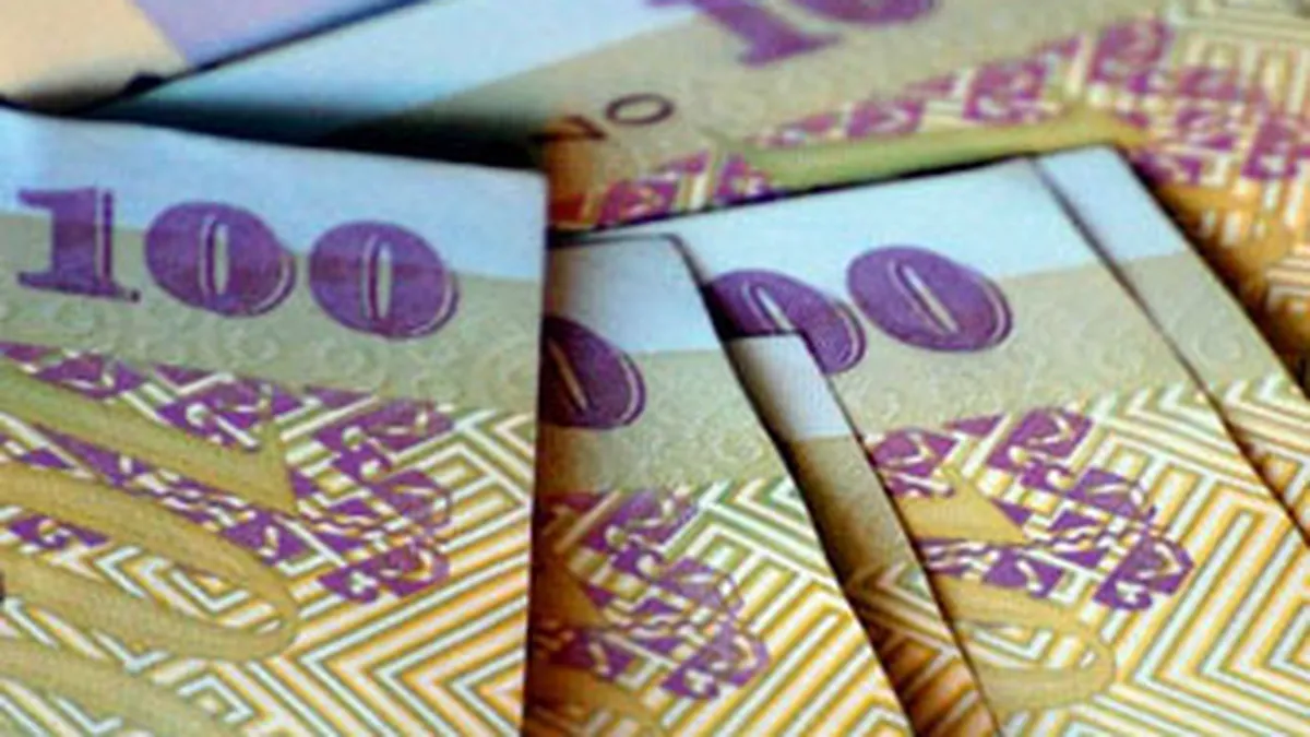 Leul, vedeta anului 2013: Cea mai buna evolutie din UE fata de euro