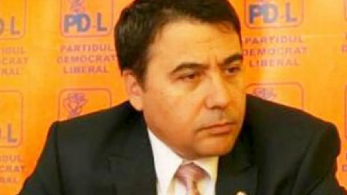 Fostul ministru Stelian Fuia, urmarit penal pentru abuz in serviciu