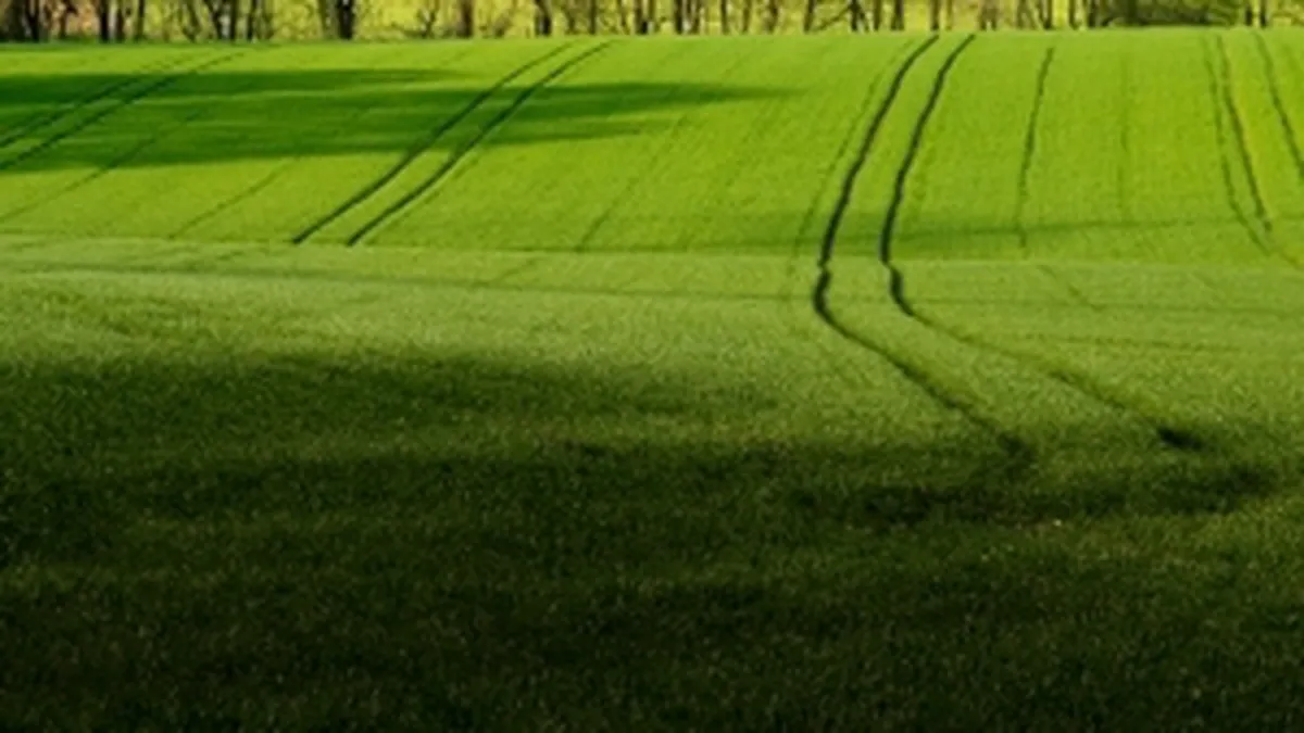 Strainii pot cumpara teren agricol fara restrictii. Romanii nu au inca drept de preemtiune