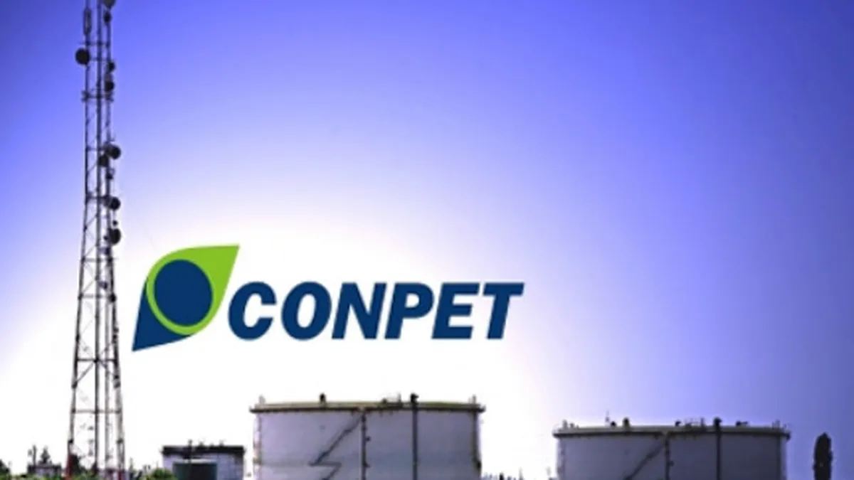 Fost director in BCR, presedinte al Consiliului de Administratie de la Conpet