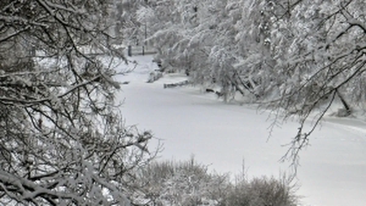 Ponta, Dragnea si Oprea se gandesc sa declare stare de alerta