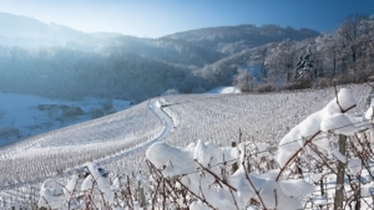 Tarife reduse pentru turisti in programul O saptamana la munte