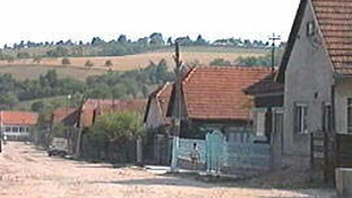 Perchezitii DNA in dosarul retrocedarilor din Nadas, Arad